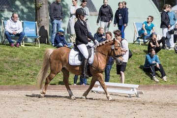 Bild 566 - Pony Akademie Turnier